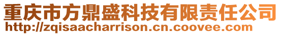 重慶市方鼎盛科技有限責任公司