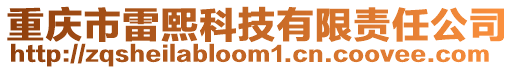 重慶市雷熙科技有限責任公司