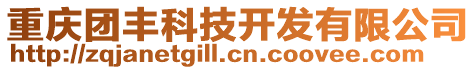 重慶團(tuán)豐科技開發(fā)有限公司