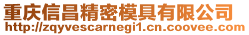 重慶信昌精密模具有限公司