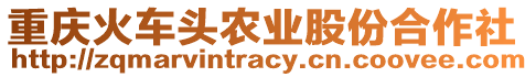 重慶火車頭農(nóng)業(yè)股份合作社