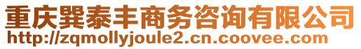 重慶巽泰豐商務(wù)咨詢有限公司