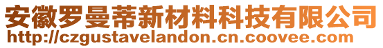 安徽羅曼蒂新材料科技有限公司