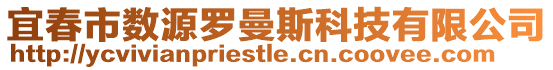 宜春市數源羅曼斯科技有限公司
