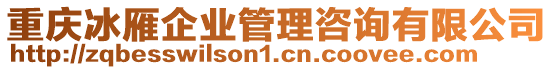 重慶冰雁企業(yè)管理咨詢有限公司