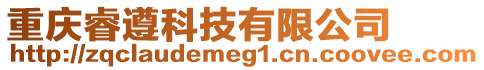 重慶睿遵科技有限公司