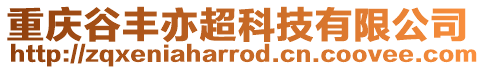 重慶谷豐亦超科技有限公司