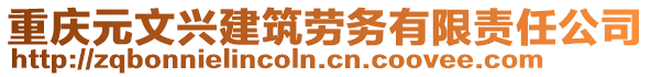 重慶元文興建筑勞務(wù)有限責(zé)任公司