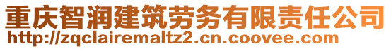 重慶智潤(rùn)建筑勞務(wù)有限責(zé)任公司