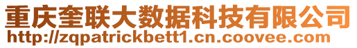 重慶奎聯(lián)大數(shù)據(jù)科技有限公司