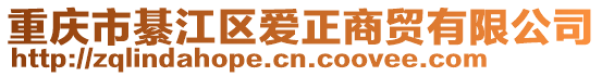 重庆市綦江区爱正商贸有限公司