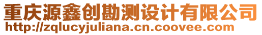 重慶源鑫創(chuàng)勘測(cè)設(shè)計(jì)有限公司