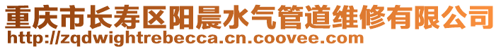 重慶市長壽區(qū)陽晨水氣管道維修有限公司