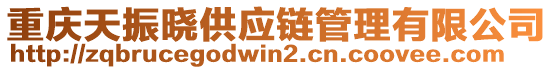 重慶天振曉供應(yīng)鏈管理有限公司