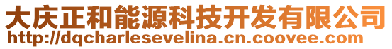 大庆正和能源科技开发有限公司