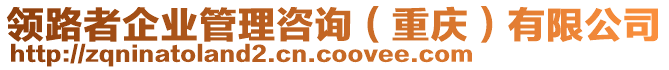 領(lǐng)路者企業(yè)管理咨詢（重慶）有限公司