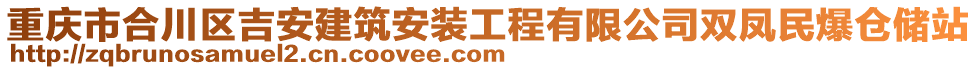 重慶市合川區(qū)吉安建筑安裝工程有限公司雙鳳民爆倉(cāng)儲(chǔ)站