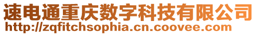 速電通重慶數(shù)字科技有限公司