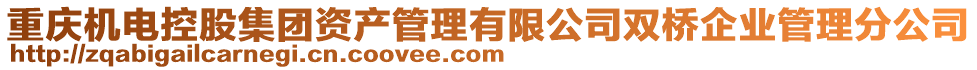 重慶機(jī)電控股集團(tuán)資產(chǎn)管理有限公司雙橋企業(yè)管理分公司