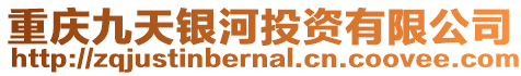 重慶九天銀河投資有限公司