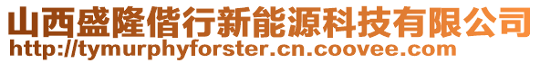 山西盛隆偕行新能源科技有限公司