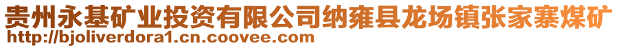 贵州永基矿业投资有限公司纳雍县龙场镇张家寨煤矿