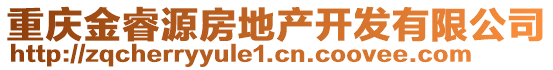 重庆金睿源房地产开发有限公司