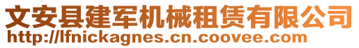 文安縣建軍機(jī)械租賃有限公司