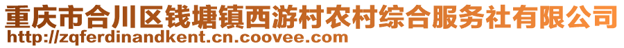 重慶市合川區(qū)錢(qián)塘鎮(zhèn)西游村農(nóng)村綜合服務(wù)社有限公司