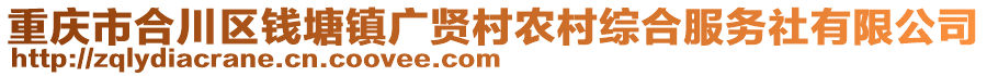 重慶市合川區(qū)錢(qián)塘鎮(zhèn)廣賢村農(nóng)村綜合服務(wù)社有限公司