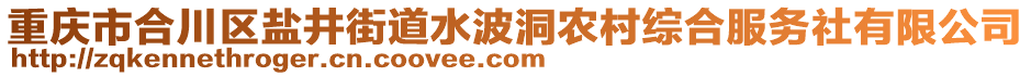 重慶市合川區(qū)鹽井街道水波洞農(nóng)村綜合服務(wù)社有限公司