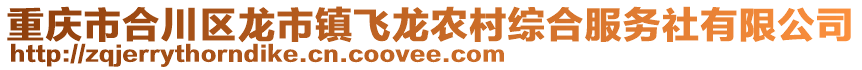 重慶市合川區(qū)龍市鎮(zhèn)飛龍農(nóng)村綜合服務(wù)社有限公司