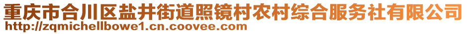 重慶市合川區(qū)鹽井街道照鏡村農(nóng)村綜合服務(wù)社有限公司