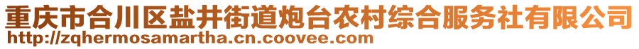 重慶市合川區(qū)鹽井街道炮臺農(nóng)村綜合服務(wù)社有限公司