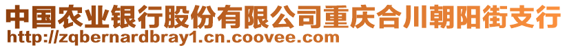 中國農(nóng)業(yè)銀行股份有限公司重慶合川朝陽街支行