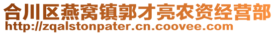 合川区燕窝镇郭才亮农资经营部