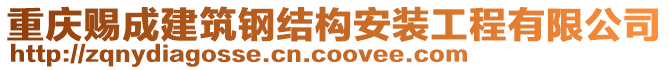 重慶賜成建筑鋼結(jié)構(gòu)安裝工程有限公司