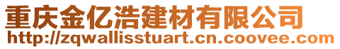 重庆金亿浩建材有限公司