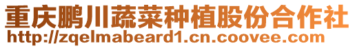 重慶鵬川蔬菜種植股份合作社