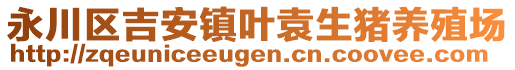 永川區(qū)吉安鎮(zhèn)葉袁生豬養(yǎng)殖場