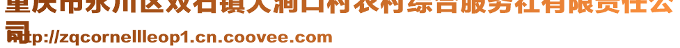 重慶市永川區(qū)雙石鎮(zhèn)大澗口村農(nóng)村綜合服務(wù)社有限責(zé)任公
司