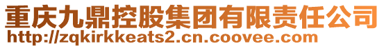 重慶九鼎控股集團(tuán)有限責(zé)任公司