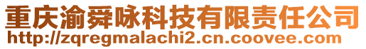 重慶渝舜詠科技有限責任公司