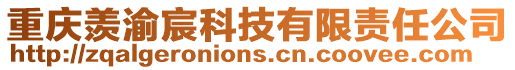 重慶羨渝宸科技有限責任公司