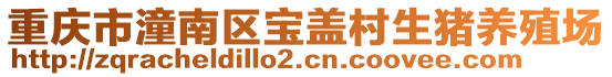 重慶市潼南區(qū)寶蓋村生豬養(yǎng)殖場(chǎng)