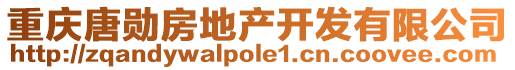 重慶唐勛房地產(chǎn)開發(fā)有限公司