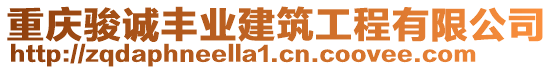 重慶駿誠(chéng)豐業(yè)建筑工程有限公司