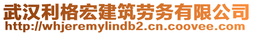 武漢利格宏建筑勞務(wù)有限公司