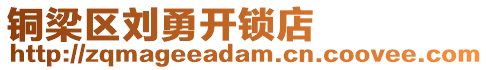 銅梁區(qū)劉勇開(kāi)鎖店