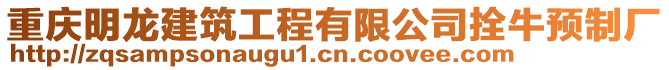 重慶明龍建筑工程有限公司拴牛預(yù)制廠